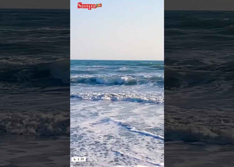 🔥Leo Rojas Music With Sunpa ♥️ #panflute #musica #leorojas #sunpa #flute #dereinsame #beach