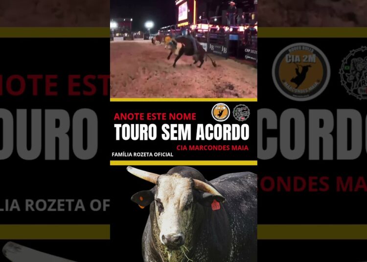 TOURO SEM ACORDO DA CIA 2M #rodeioshow #rodeio #rodeio #touromecanico #touromecanico