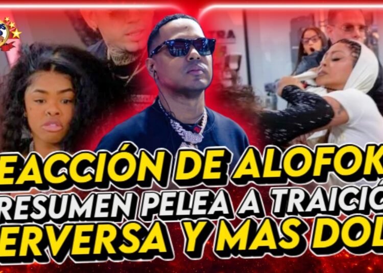 RESUMEN PELEA PERVERSA VS MASS DOLL REACCIÓN DE ALOFOKE Y PARTICIPANTES