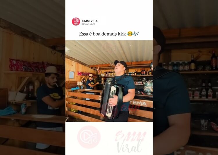 ESSA É BOA DEMAIS kkk 😂🎶 #show #music #musica #viral #tarcísiodoacordeon #fyp