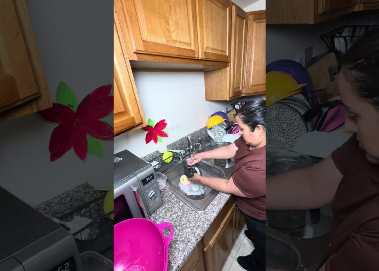 Historias de una seguidora #cleaning #chismes #shotsviral