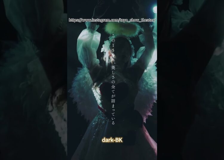 【劇場情報】東洋ショー劇場 本館所屬的人氣舞者