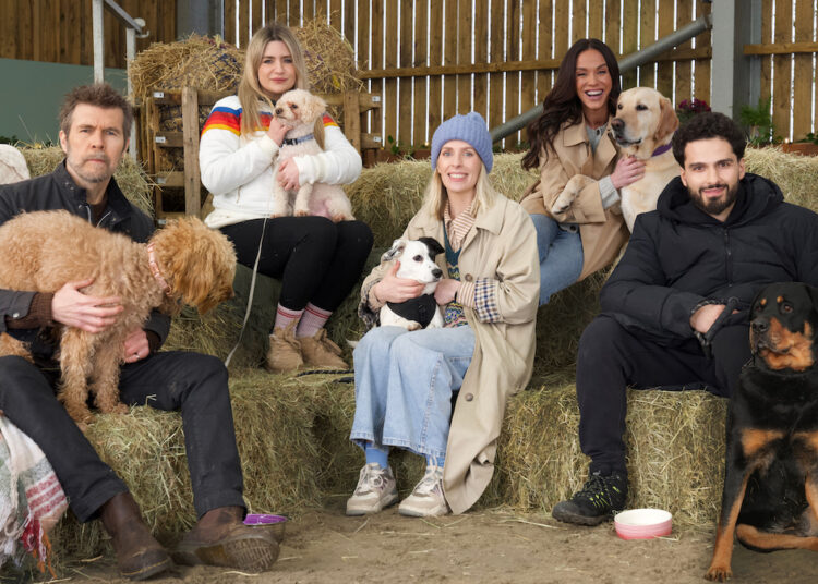 Los comediantes se inscriben en un programa en el que celebridades entrenan a sus perros