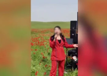 Millonarias multas a cantantes por destruir amapolas