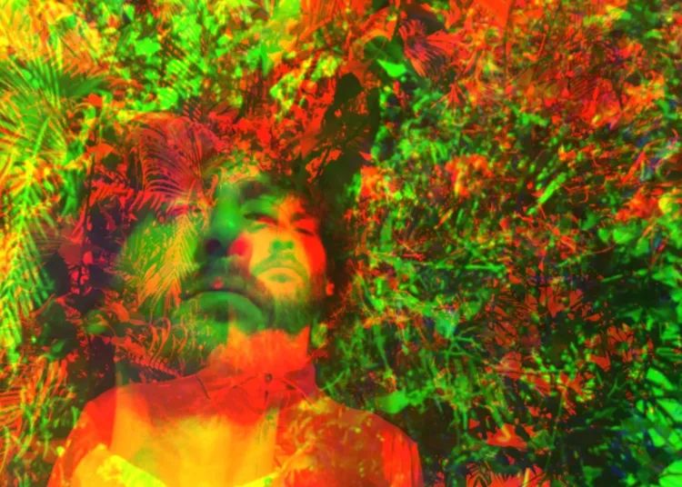 Photo collage of a man superiposed among tropical plants