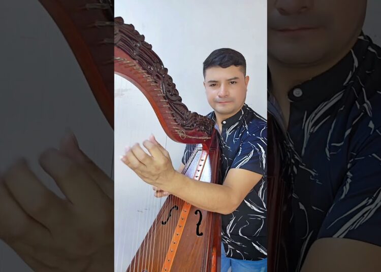 COVER ,  RECUERDOS Y TRISTEZA // Over Luis Arratea 986586079 clases  #folklore #musica #cultura