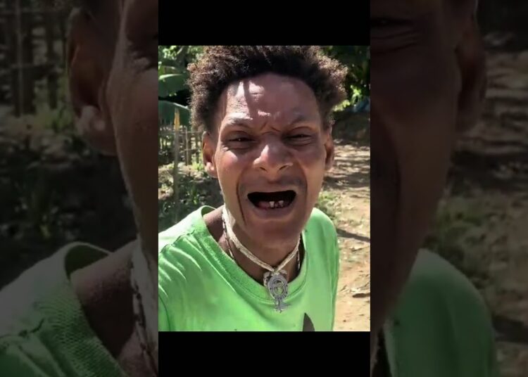 El descompositor mix #humor #funil #viralreels #memes #comedia #dúo #farming #duet #musica #funny