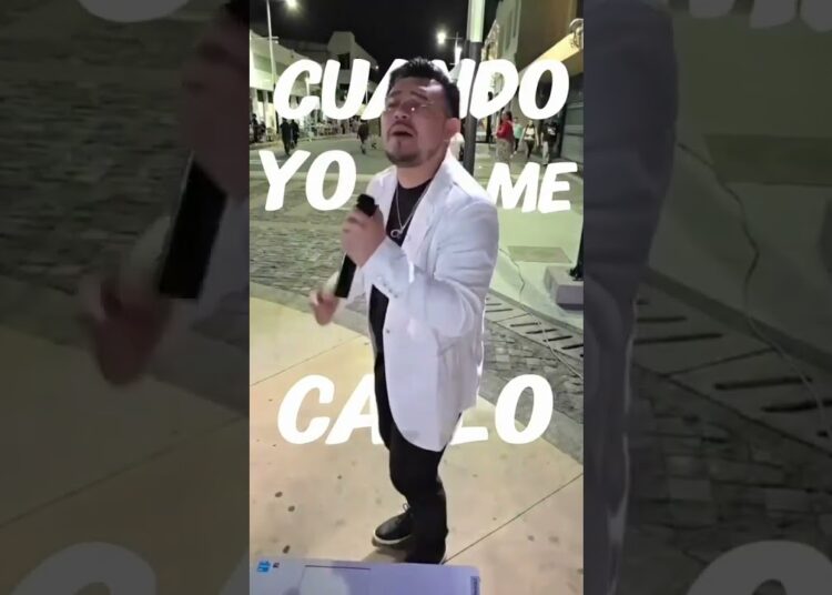 Cantando en la calle sin filtros 🎤 #musica #cantandoenlacalle #streetmusic #cantante