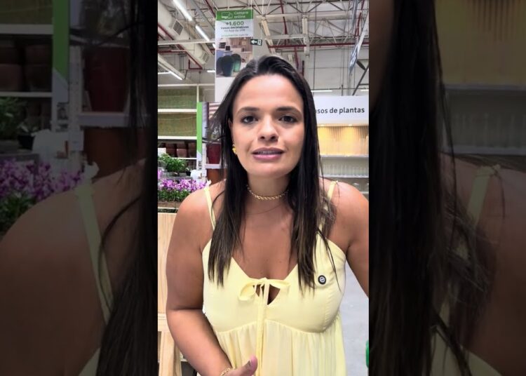Você não vai acreditar no que essa mulher fez só para convencer as amigas #novelas #casosdefamilia