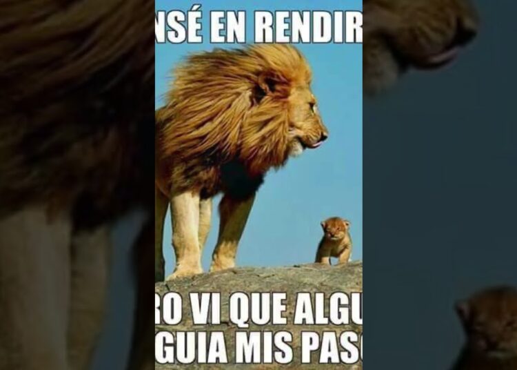 #musica#buenosdias #cristo#frases#parati  #vidaeterna#amor#viral#principiosbiblicos