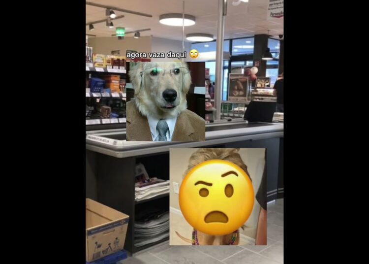 DALIKE #musica #memes #petsfofinhos #memeshorts #cachorro #cachorro #cachorrosdivertidos #humor