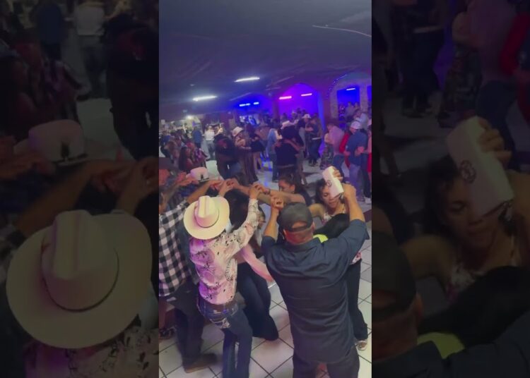 Ni las arboledas se escapan del show de la varita #destacar