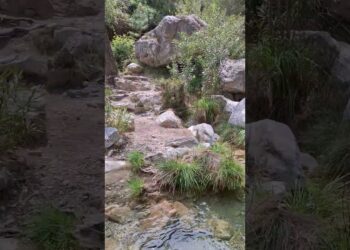 Empieza el espectaculo, no te lo pierdas.