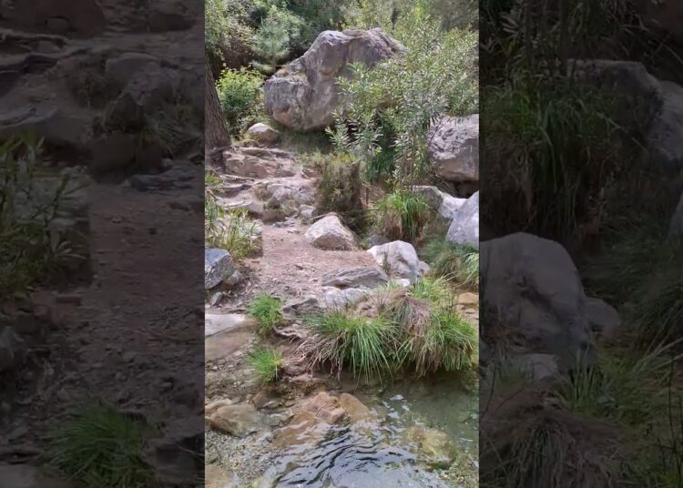 Empieza el espectaculo, no te lo pierdas.
