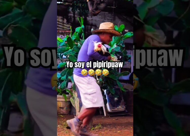 #cumbia #musica #humor #chaparro