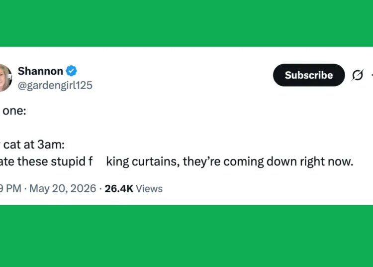23 Of The Funniest Posts About Cats And Dogs This Week