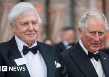 David Attenborough: el rey y la reina encabezan los homenajes por el centenario