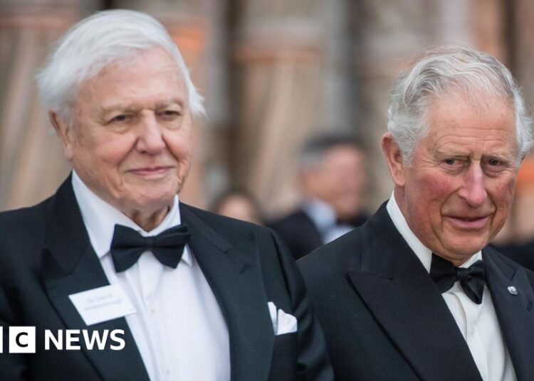 David Attenborough: el rey y la reina encabezan los homenajes por el centenario