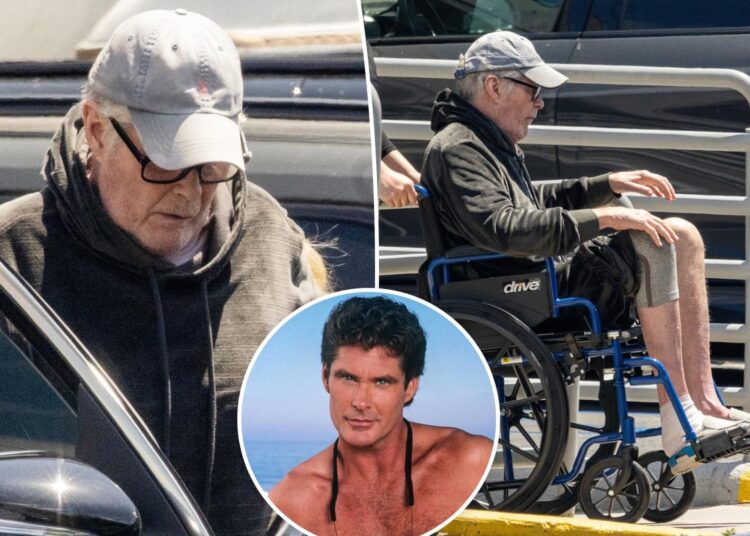 David Hasselhoff genera preocupación al ser visto en silla de ruedas