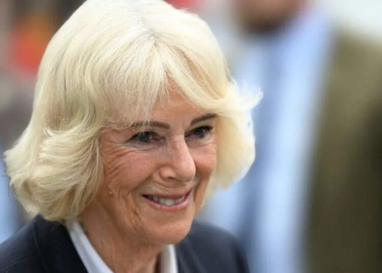 La reina Camilla dio forma a la forma en que la monarquía maneja las crisis de reputación, afirmó un autor real.Mega