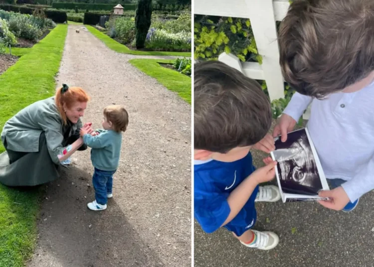 El anuncio del embarazo de la princesa Eugenia marca un nuevo capítulo para la familia de York después del escándalo del ex príncipe Andrés