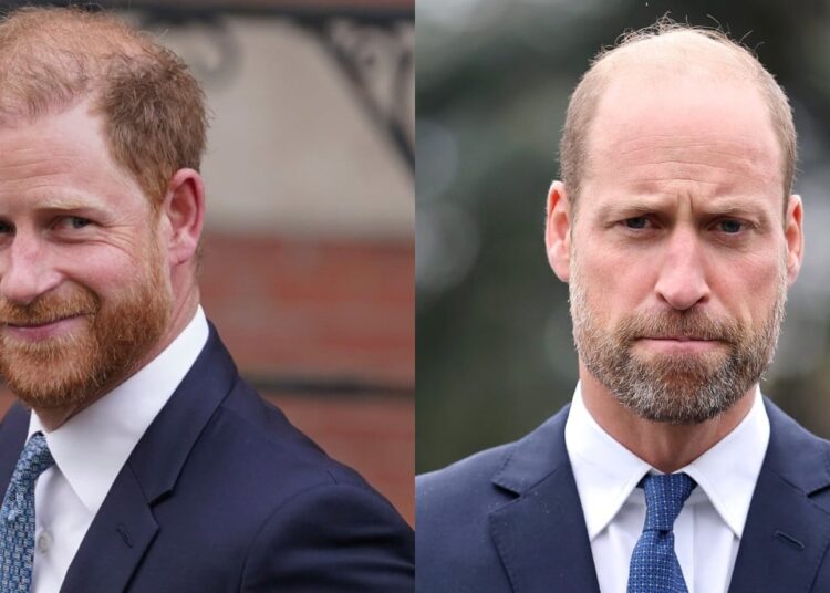 El príncipe Harry recibe una actualización positiva sobre su papel real a pesar de la objeción de William
