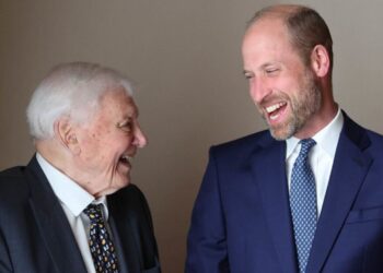 El príncipe William saluda a David Attenborough en un emotivo discurso en el evento | Real | Noticias