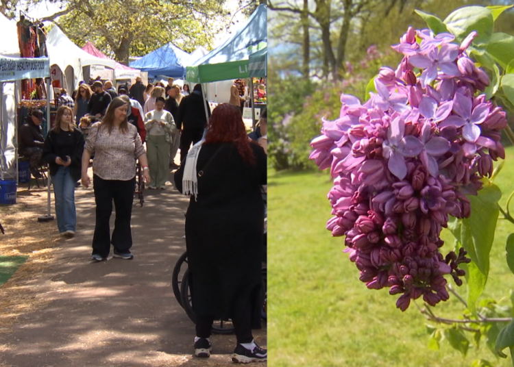 Lilac Festival on Friday and closing weekend