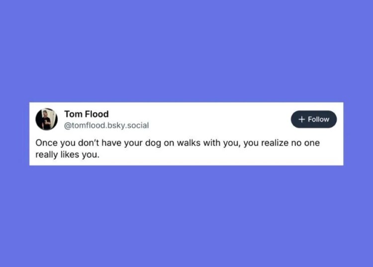 Funniest Posts About Cats And Dogs This Week