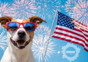 Memorial Day Weekend Events Tampa
