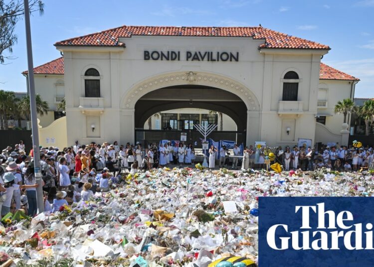 Hombres armados de Bondi Beach dispararon a 11 personas 30 segundos después de abrir fuego, según escucha la comisión real | Comisión real sobre antisemitismo y cohesión social