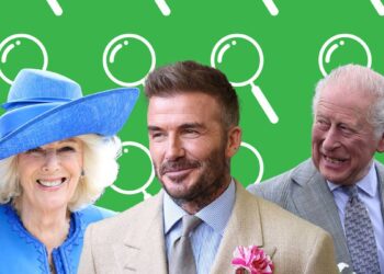 Juego real de buscar las diferencias: RHS Chelsea Flower Show