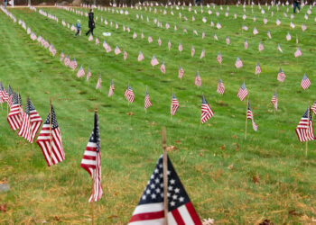 Banderas decoran cada tumba en el Cementerio Nacional de Bourne después de que un grupo numeroso acudiera a colocar una bandera en cada una de las lápidas en conmemoración del Día de los Veteranos. Foto tomada el 8 de noviembre de 2025.