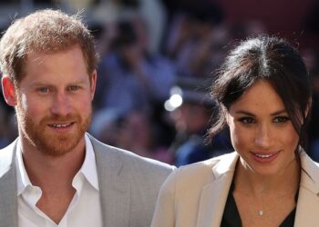 Meghan acaba de compartir una actualización de Archie: los fanáticos reales no estarán contentos | Real | Noticias