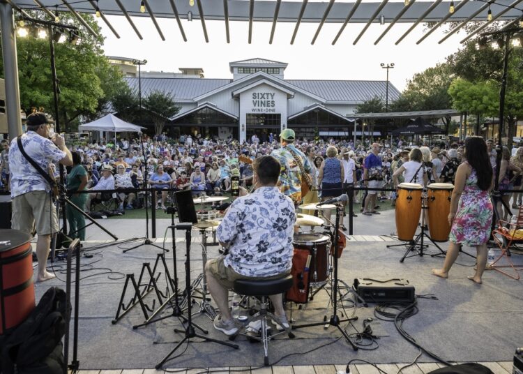 drummer and crowd at concert