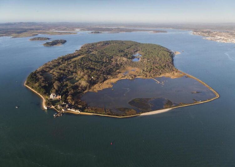 Música, paseos y recorridos por la vida silvestre entre los eventos en el hermoso lugar de Dorset