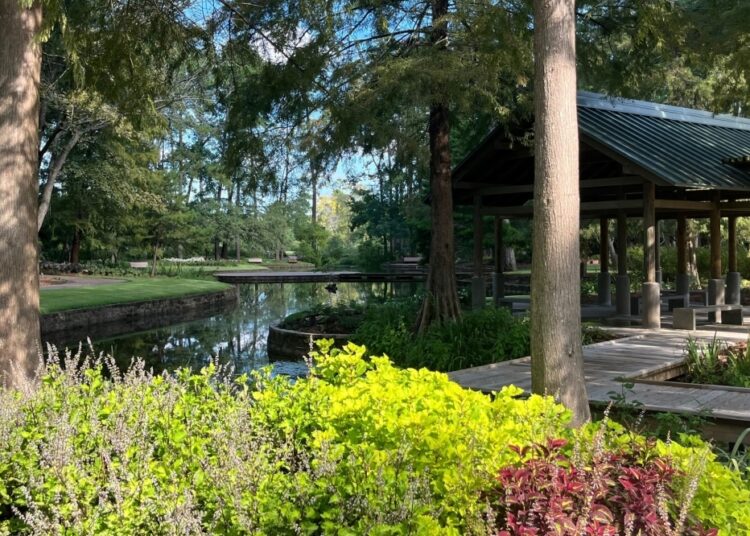Visit Mercer Botanic Gardens in Humble for a free Tai Chi class. (Courtesy Friends of Mercer Botanic Gardens)