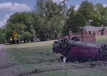 A red car rolled over on a grassy shoulder next to a road, with a small child appearing to crawl out from underneath it.