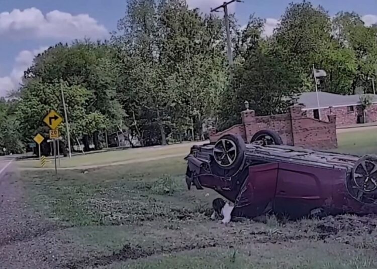 A red car rolled over on a grassy shoulder next to a road, with a small child appearing to crawl out from underneath it.