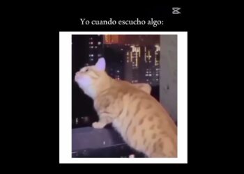 A mí me encanta los chismes y a usteddes les encantan😂🫡