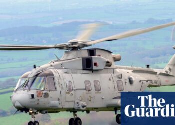 Helicóptero de la Royal Navy se estrella en un campo en Devon | Marina Real