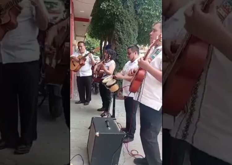 “Contigo” interpretada por el Trío Guanajuato #boleros #musica #music