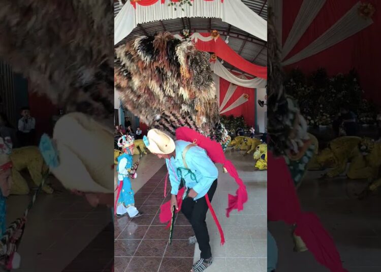 ¡RAÍCES INDOMABLES! 🌾 El asombroso espectáculo de Galecio Narcía