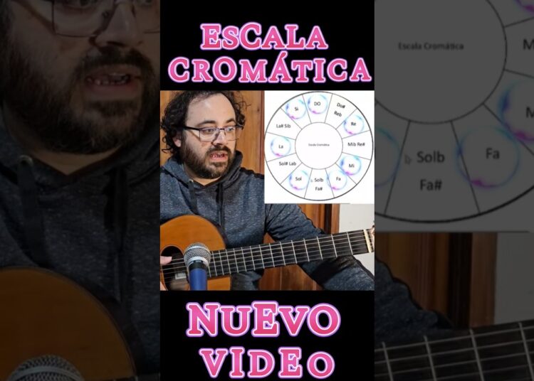 ¿Cuál es la escala cromática? #guitarra #guitar #musica #music #teoriamusical #tutorial #clases