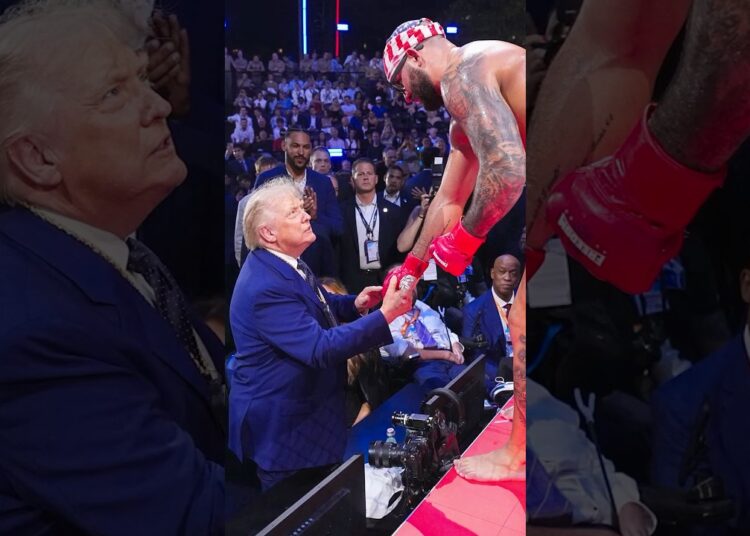 Trump’s UFC spectacle was never about sports. #ufcwhitehouse