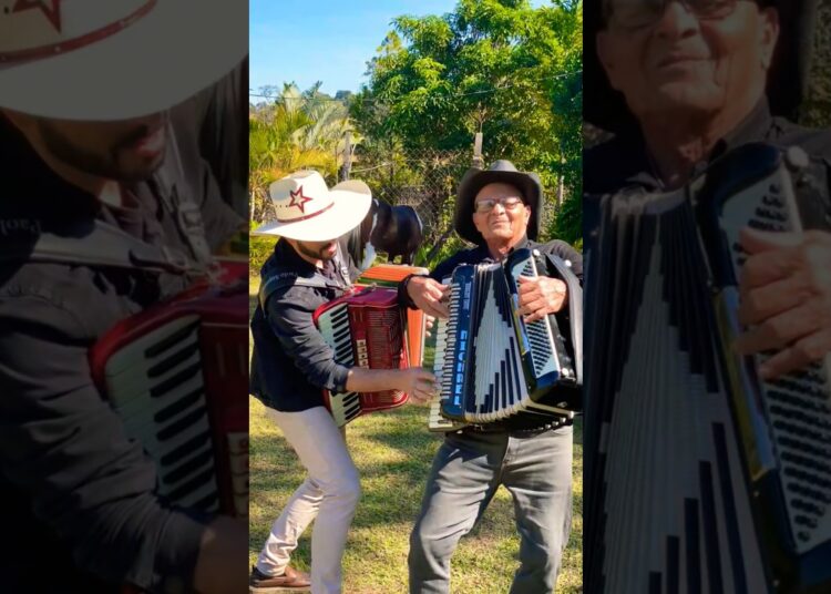 Um Show na Sanfona 🪗 #somodao #sanfona #sucesso #musicadancante #shortviral #musica #saojoao #shorts