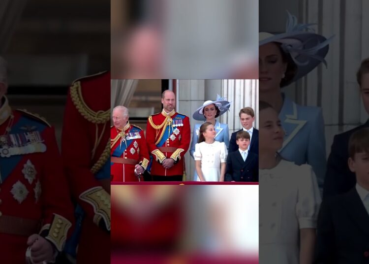 Royal Spectacle Above London: The Royal Family’s Stunning Buckingham Palace Flypast Appearance 👑✈️