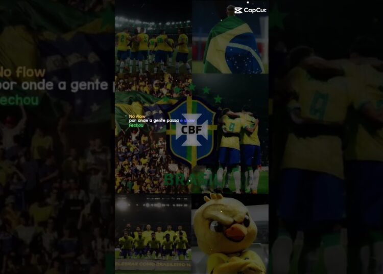Por onde o Brasil passa é show💚💛🇧🇷