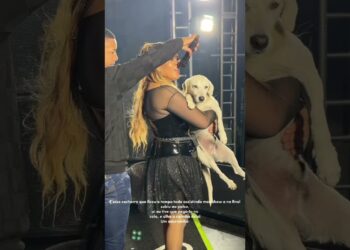Cachorro no show menina faceira