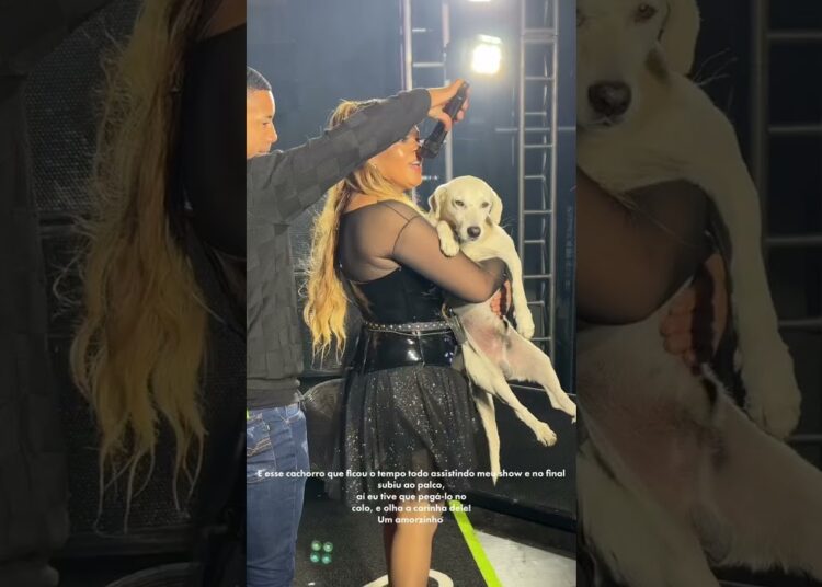 Cachorro no show menina faceira